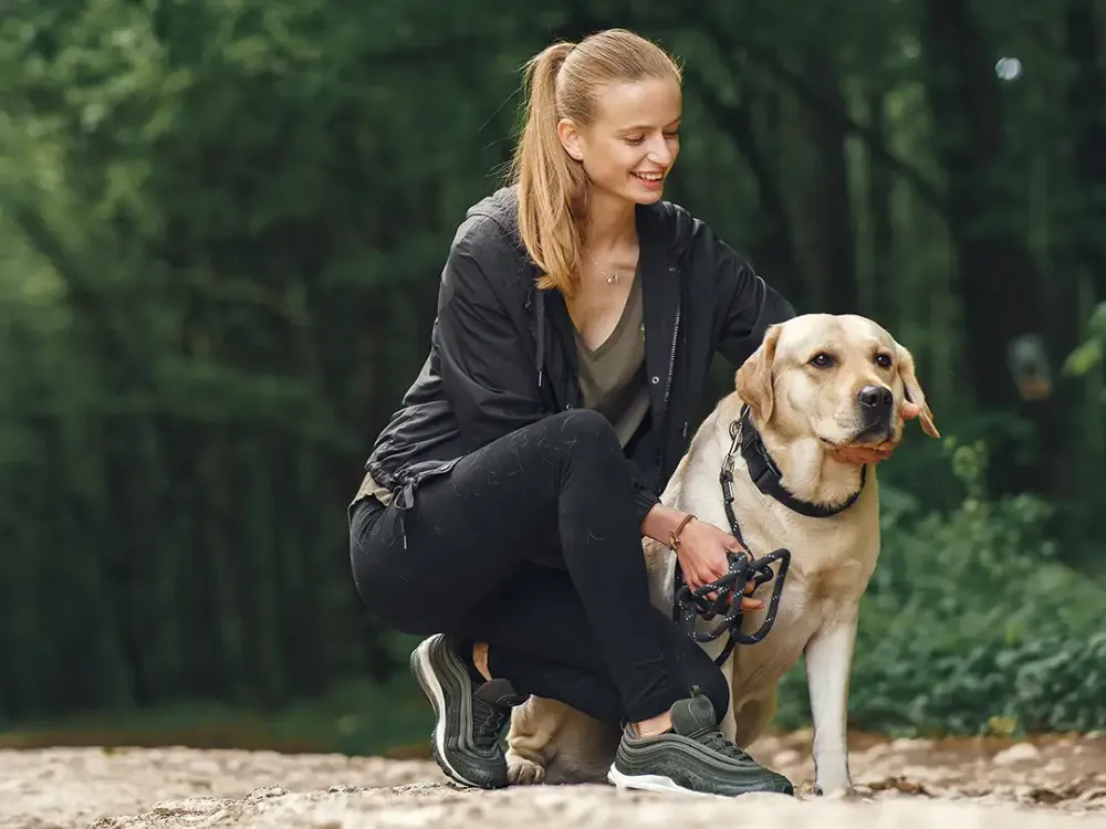 Hundinstruktörsutbildning i Göteborg
